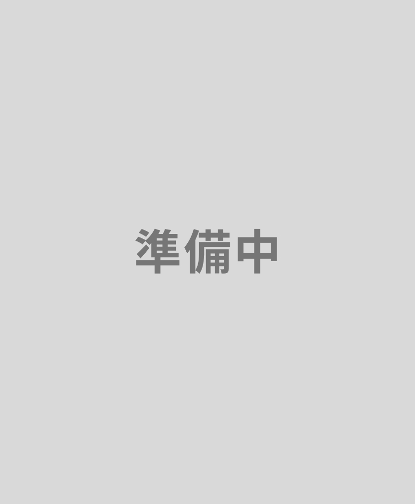 日本 ビスカ